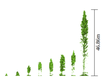 Figure from “Few-Shot Adaptation for Robust Deep Regression of Tree Parameters from ULS Forest Data Using Meta-Learning”