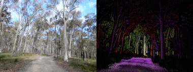 Figure from “WildCross: A Cross-Modal Large Scale Benchmark for Place Recognition and Metric Depth Estimation in Natural Environments”